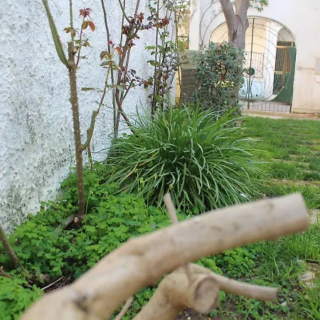 Holiday Homes Estasi Sul Mare