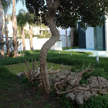 Holiday Homes Estasi Sul Mare *